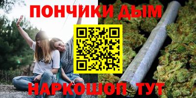 шишки Изобильный