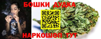 шишки Изобильный