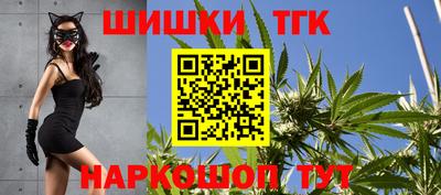 шишки Изобильный