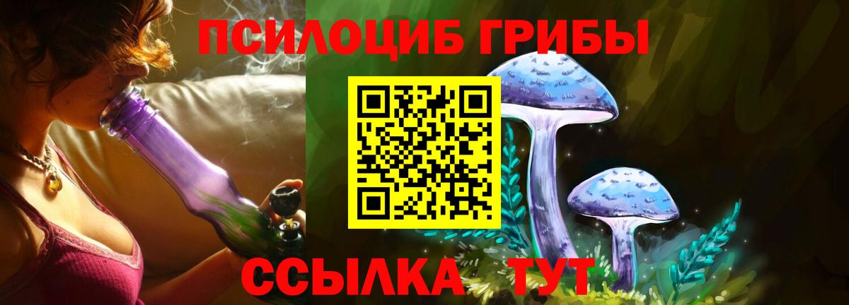 Мегион  магазин продажи   Галлюциногенные грибы Psilocybe  Вход с VPN  Псилоцибиновые грибы Magic Shrooms 
